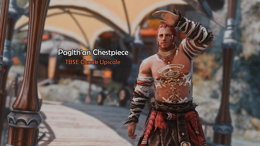 Chonk Chonk