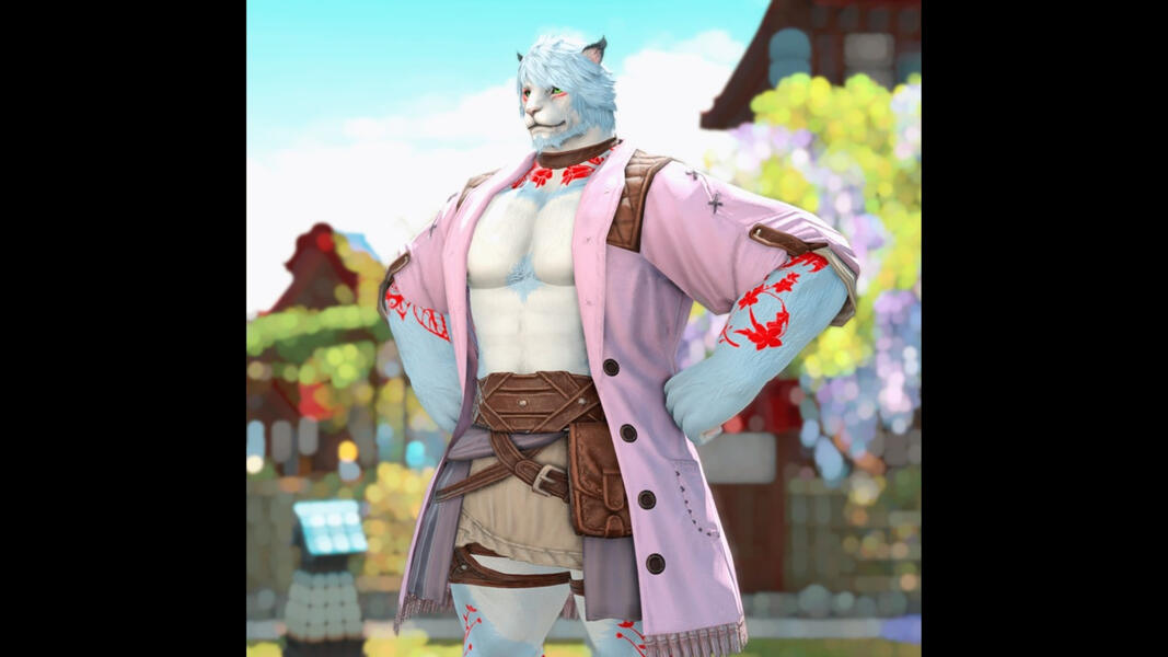 Sexy/Lingerie/Underwear